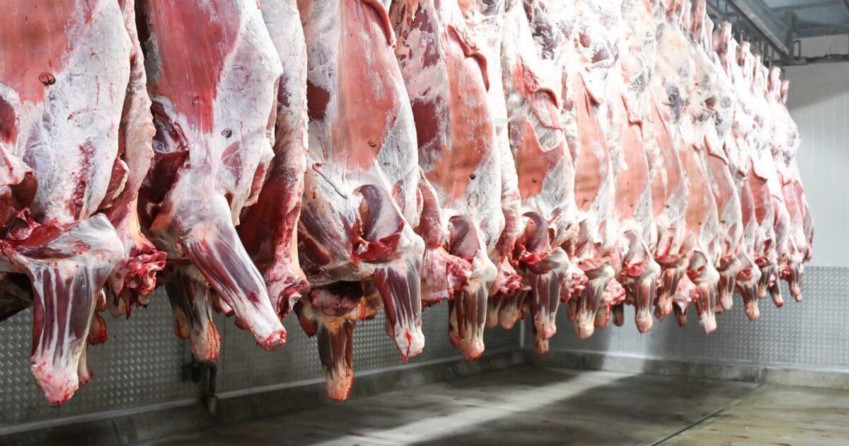 UK Ban Sparks Beef Dispute UK Ban Sparks Beef Dispute