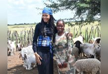 Youth Farmers Drive Agricultural Growth Amid Challenges Youth Farmers Drive Agricultural Growth Amid Challenges