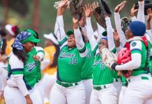 Titans Seek Sponsors for Grand Slam Series Titans Seek Sponsors for Grand Slam Series