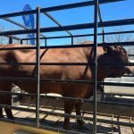 Model Supports Nature-Based Economies Model Supports Nature-Based Economies