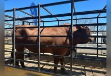 Model Supports Nature-Based Economies Model Supports Nature-Based Economies