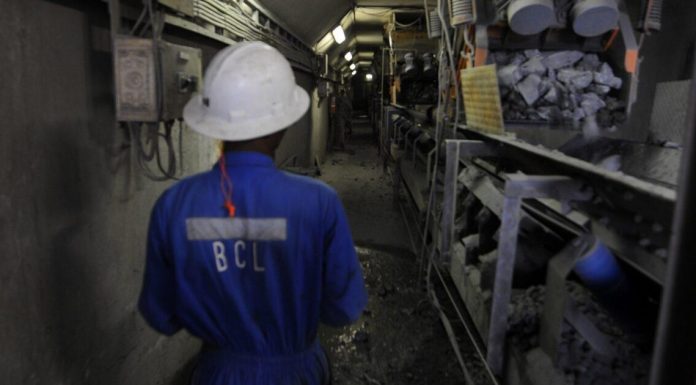 Govt Tightens Shield Around Witnesses in BCL Probe Govt Tightens Shield Around Witnesses in BCL Probe