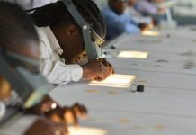 Diamonds Falter, Crisis Deepens Diamonds Falter, Crisis Deepens