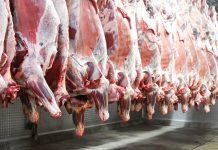 Butchery Owners Seek Balance on FMD Control Butchery Owners Seek Balance on FMD Control