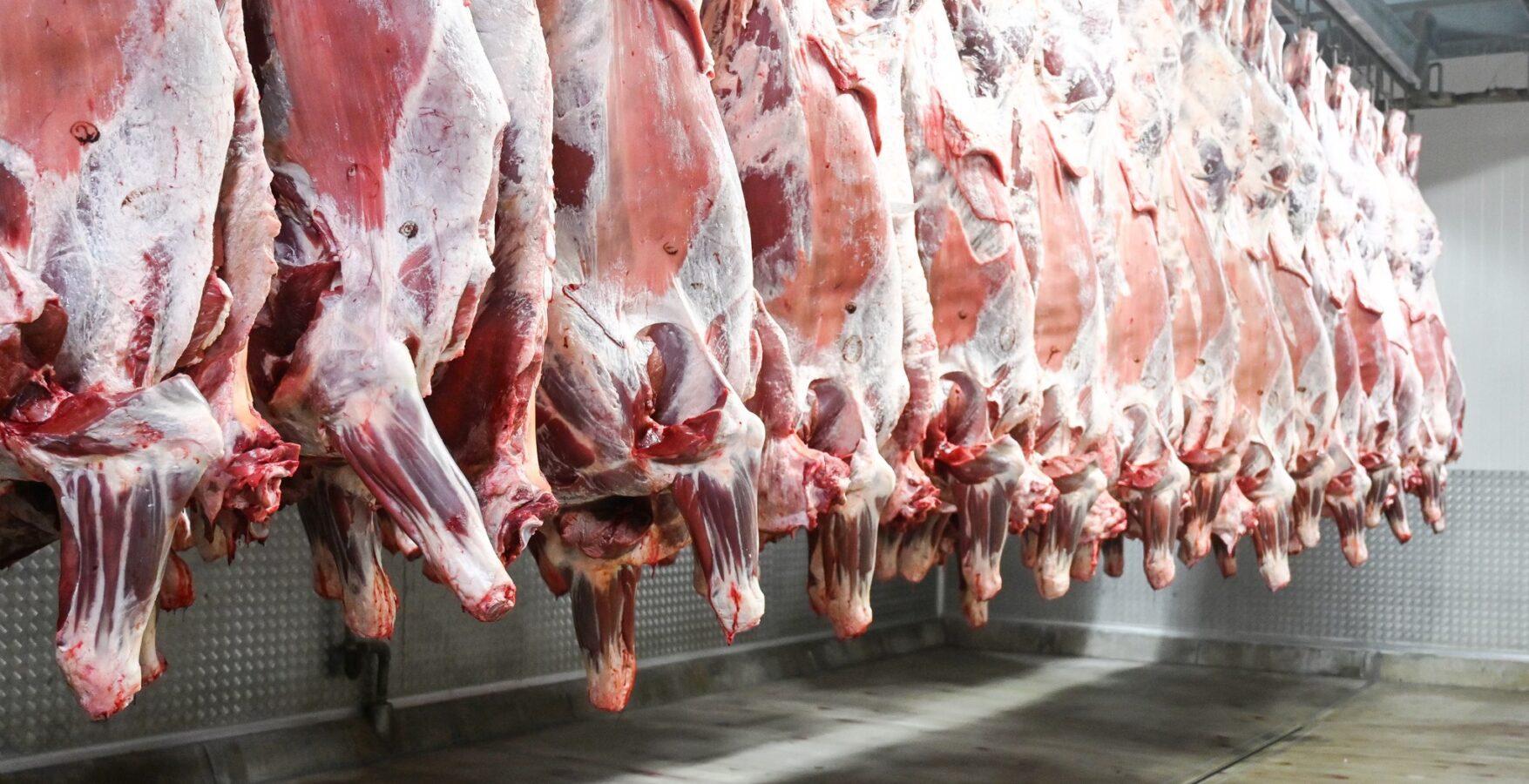 Butchery Owners Seek Balance on FMD Control Butchery Owners Seek Balance on FMD Control