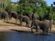 End Elephant Hunting in Settlements- EPS End Elephant Hunting in Settlements- EPS