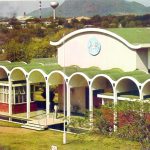 Organic Turmeric Farmers Anticipate to Generate over P152M Organic Turmeric Farmers Anticipate to Generate over P152M