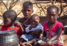 African Governments Urged to Address Fertilizer Shortages African Governments Urged to Address Fertilizer Shortages