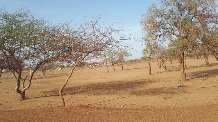 Burkina Faso : Une ambulance du District sanitaire de Djibo saute sur une mine et fait six morts Burkina Faso : Une ambulance du District sanitaire de Djibo saute sur une mine et fait six morts
