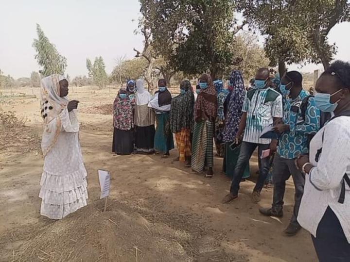Promotion et valorisation des nouvelles techniques agricoles : Les femmes de Nabi-tiibin dans la commune de Mogtéodo, à l’école de l’agro-écologie Promotion et valorisation des nouvelles techniques agricoles : Les femmes de Nabi-tiibin dans la commune de Mogtéodo, à l’école de l’agro-écologie