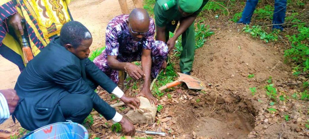 Burkina Faso : Les portes du Salon de l’arbre s’ouvrent dans la forêt Bangr-Weogo Burkina Faso : Les portes du Salon de l’arbre s’ouvrent dans la forêt Bangr-Weogo