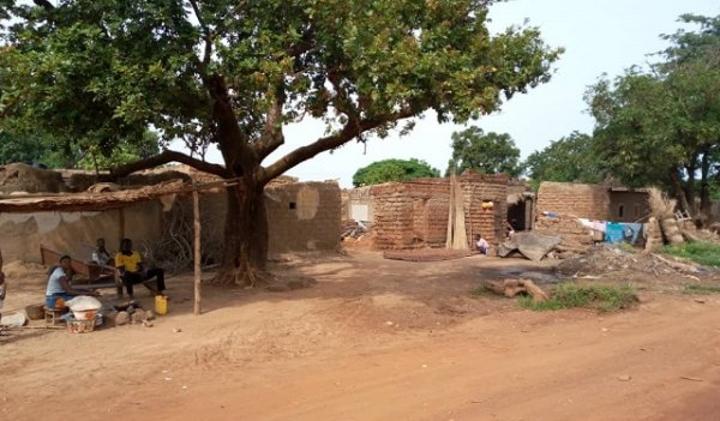 Lâcher de moustiques génétiquement modifiés à Bana : Deux ans après, les habitants du village apprécient Lâcher de moustiques génétiquement modifiés à Bana : Deux ans après, les habitants du village apprécient