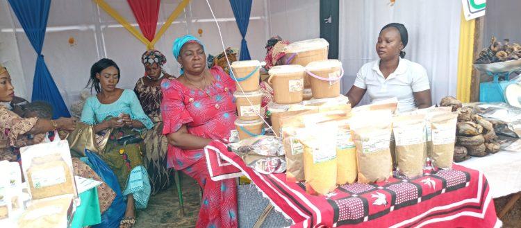 Burkina Faso : Le savoir-faire des bénéficiaires du Centre d’incubation féminin et entrepreneuriat agricole (CIFEA) Burkina Faso : Le savoir-faire des bénéficiaires du Centre d’incubation féminin et entrepreneuriat agricole (CIFEA)