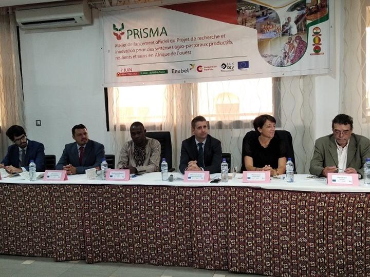 Un projet pour rendre les systèmes agro-pastoraux plus productifs, résilients et sains Un projet pour rendre les systèmes agro-pastoraux plus productifs, résilients et sains