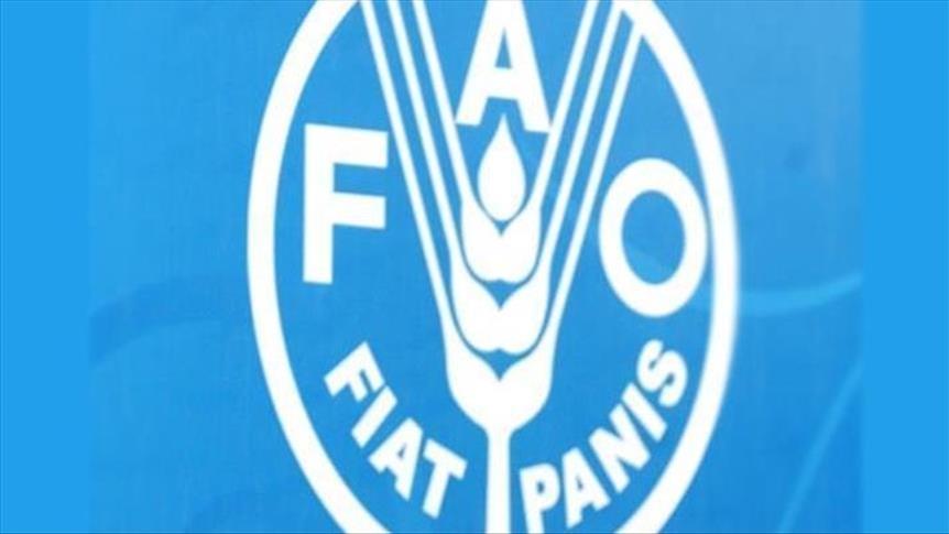 Quarante-cinq pays majoritairement d’Afrique ont besoin d’une aide alimentaire extérieure (FAO)