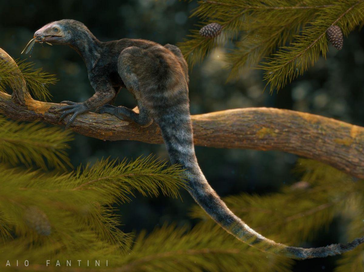 Découverte d'un nouveau fossile à la racine du groupe des ptérosaures Découverte d'un nouveau fossile à la racine du groupe des ptérosaures