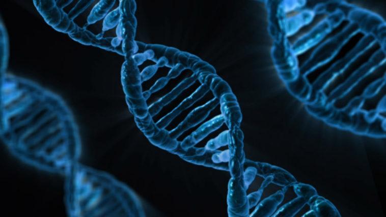 Le chromosome Y a été entièrement séquencé par une centaine de chercheurs, une avancée majeure Le chromosome Y a été entièrement séquencé par une centaine de chercheurs, une avancée majeure