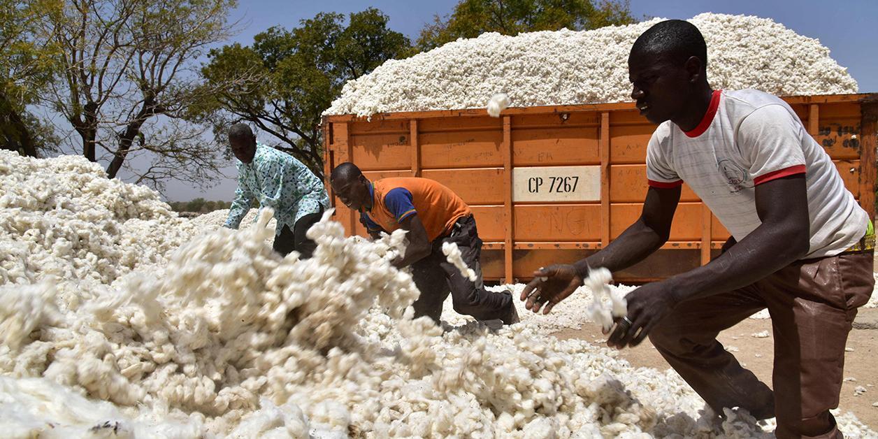 Au Burkina Faso, la leçon de résilience du secteur agricole Au Burkina Faso, la leçon de résilience du secteur agricole