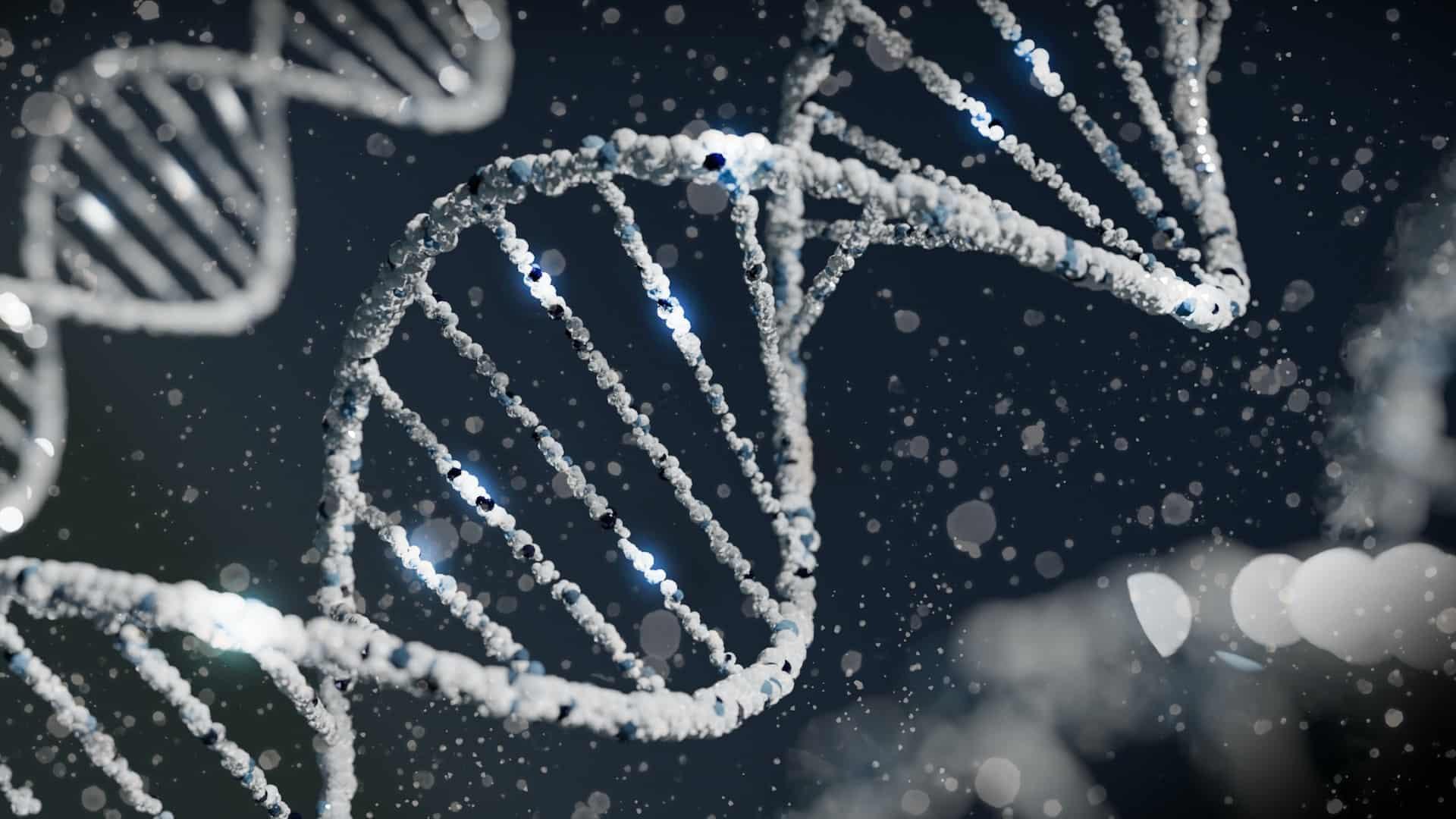 Une nouvelle base de données se penche sur les gènes méconnus Une nouvelle base de données se penche sur les gènes méconnus
