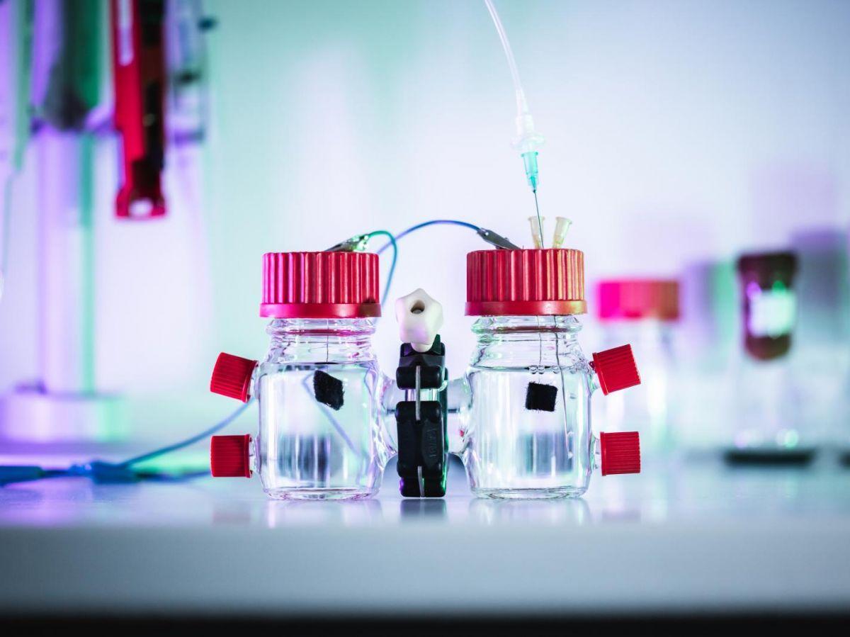Une bactérie capable de générer de l’électricité à partir d’eaux usées Une bactérie capable de générer de l’électricité à partir d’eaux usées