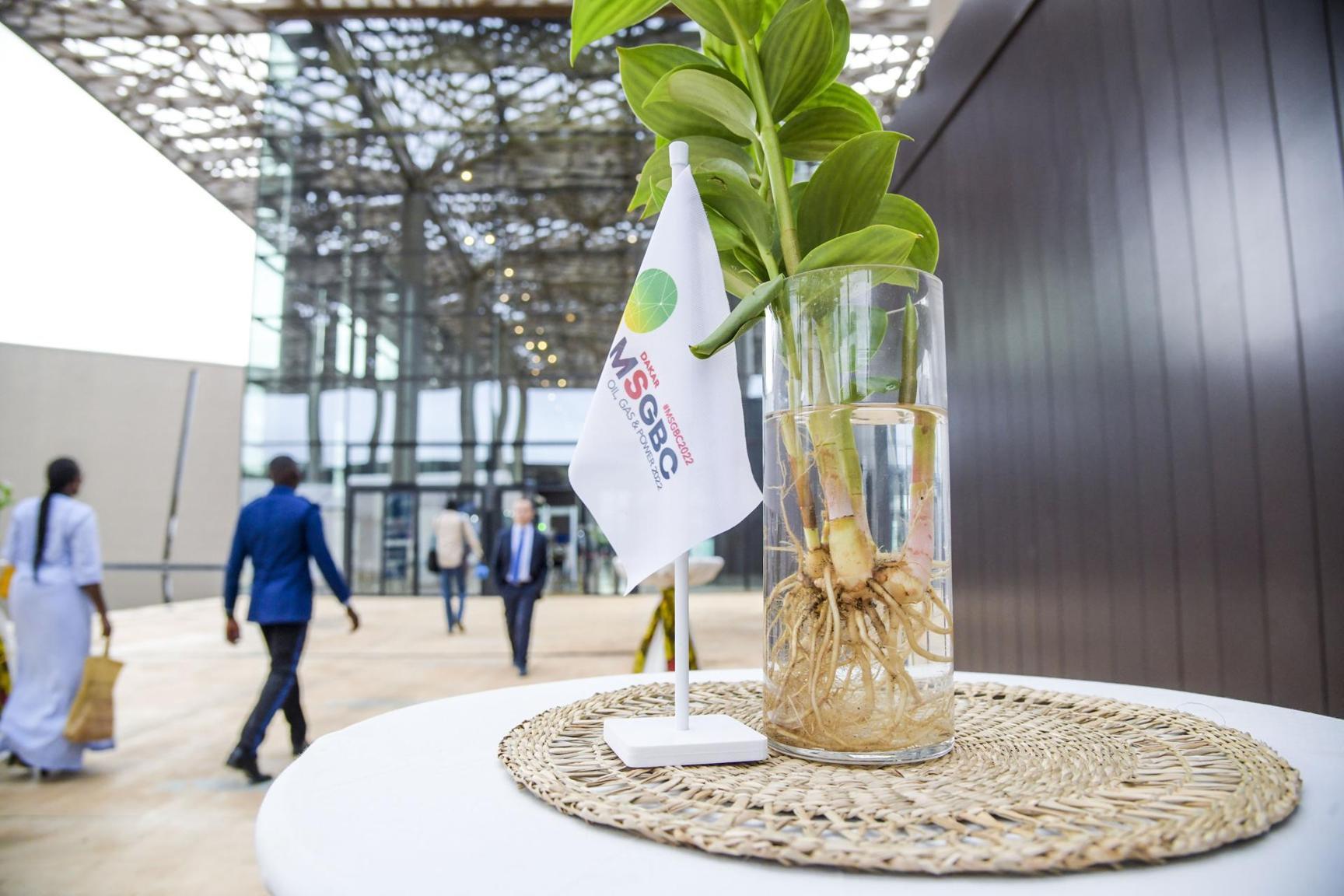 Afrique : Le panel sur les finances et le gouvernement révélera des informations clés lors du MSGBC Oil, Gas & Power 2023 Afrique : Le panel sur les finances et le gouvernement révélera des informations clés lors du MSGBC Oil, Gas & Power 2023