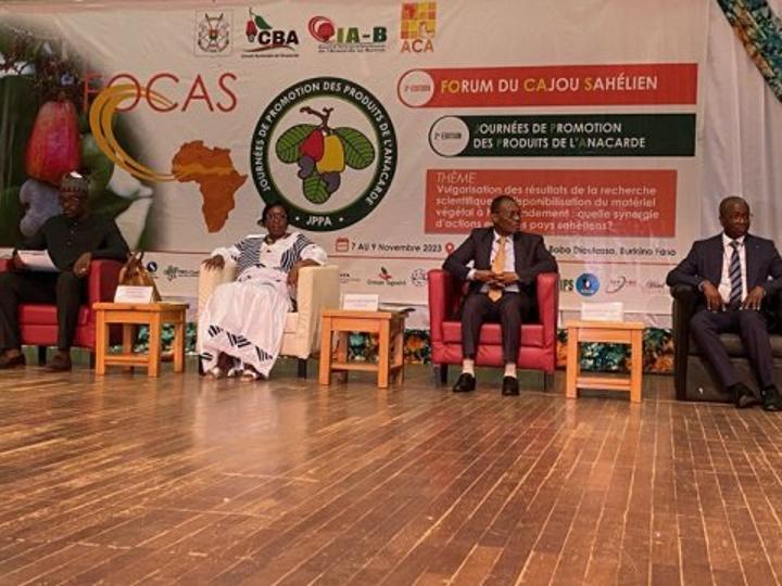 Forum du cajou sahélien : Des acteurs réfléchissent sur l’avenir de la filière anacarde à Bobo-Dioulasso Forum du cajou sahélien : Des acteurs réfléchissent sur l’avenir de la filière anacarde à Bobo-Dioulasso