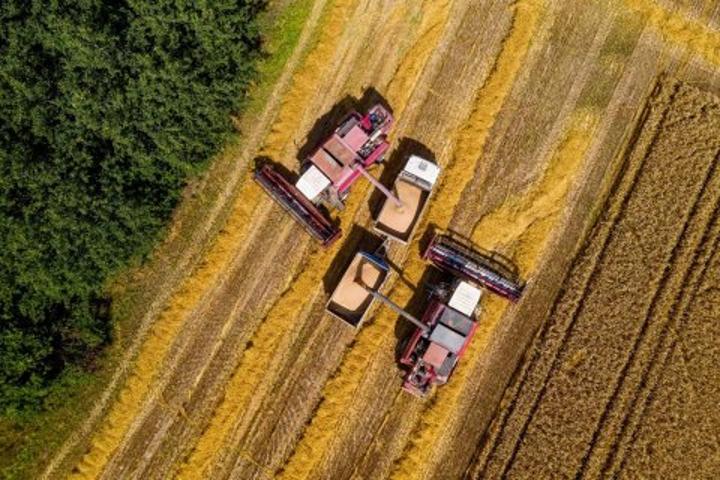 Aide humanitaire : La Russie démarre ses livraisons de céréales gratuites aux pays africains en crise Aide humanitaire : La Russie démarre ses livraisons de céréales gratuites aux pays africains en crise