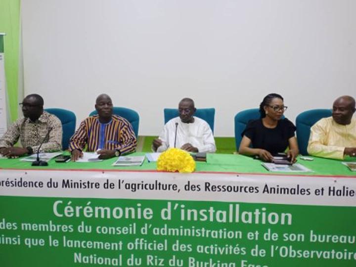 Filière riz : Le conseil d'administration de l'Observatoire national du riz installé Filière riz : Le conseil d'administration de l'Observatoire national du riz installé