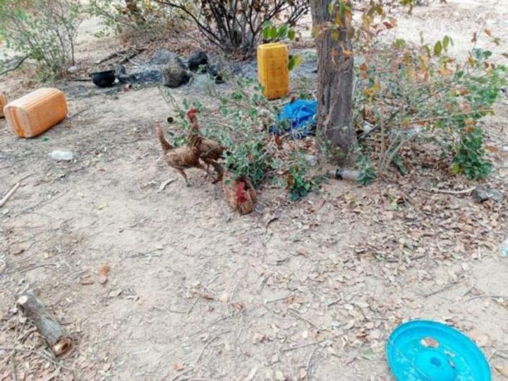 Une dizaine de terroristes neutralisés pendant qu’ils volaient des vivres à Manni Une dizaine de terroristes neutralisés pendant qu’ils volaient des vivres à Manni