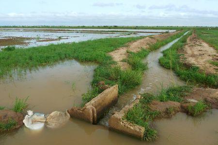 l’exécutif injectera 28,5 millions $ dans l’aménagement d’un périmètre irrigué de 865 ha à Dourou l’exécutif injectera 28,5 millions $ dans l’aménagement d’un périmètre irrigué de 865 ha à Dourou