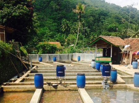 Aqua-Spark obtiendra 16 millions $ de l’Allemagne pour renforcer ses activités aquacoles en Afrique Aqua-Spark obtiendra 16 millions $ de l’Allemagne pour renforcer ses activités aquacoles en Afrique