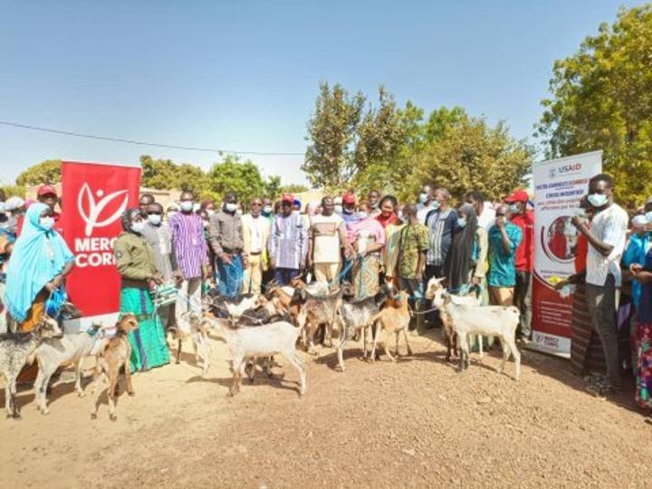 Fada N’Gourma : Mercy Corps distribue 1 592 caprins aux personnes déplacées internes et communautés hôtes. Fada N’Gourma : Mercy Corps distribue 1 592 caprins aux personnes déplacées internes et communautés hôtes.