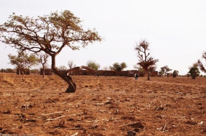 Le MROD/BF invite le Burkina Faso à des actions concrètes et coordonnées sur l’urgence de la situation environnementale Le MROD/BF invite le Burkina Faso à des actions concrètes et coordonnées sur l’urgence de la situation environnementale