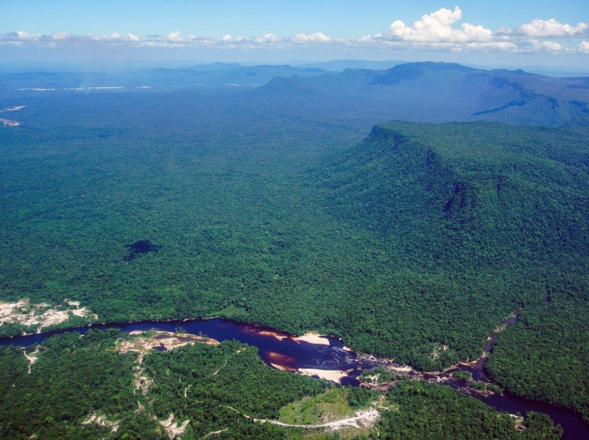 Pour éviter la sixième grande extinction de la vie sur Terre, protéger 1% de sa surface serait suffisant ! Pour éviter la sixième grande extinction de la vie sur Terre, protéger 1% de sa surface serait suffisant !
