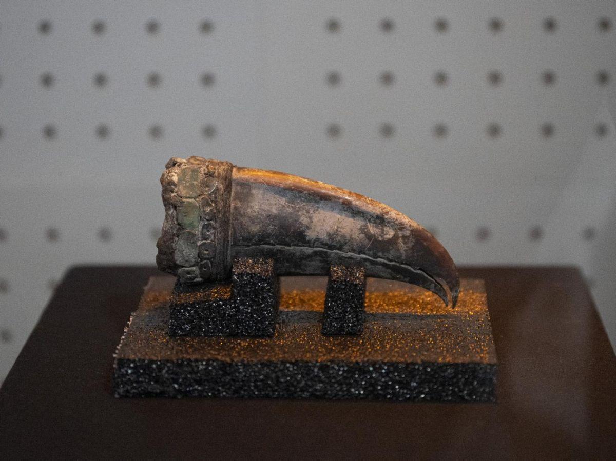 Une sépulture vieille de 5.000 ans révèle l'importance des femmes dans la civilisation Caral, la plus ancienne d'Amérique Une sépulture vieille de 5.000 ans révèle l'importance des femmes dans la civilisation Caral, la plus ancienne d'Amérique