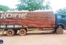 Interception de 100 tonnes d’amandes de karité à Pô Interception de 100 tonnes d'amandes de karité à Pô