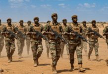 Force Unifiée de l’Alliance des États du Sahel Force Unifiée de l'Alliance des États du Sahel