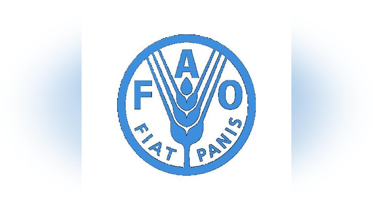 Crise Alimentaire: 670 Millions Souffrent de Faim en 2024 Crise Alimentaire: 670 Millions Souffrent de Faim en 2024