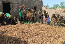 Terre, Sueurs et Espoir: VDP Agricoles en Action Terre, Sueurs et Espoir: VDP Agricoles en Action