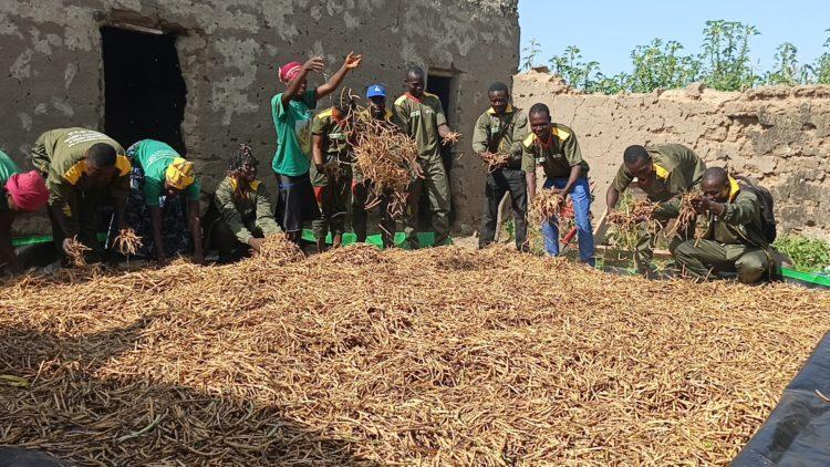 Terre, Sueurs et Espoir: VDP Agricoles en Action Terre, Sueurs et Espoir: VDP Agricoles en Action