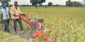 Récolte Mécanisée du Riz à Karaba Récolte Mécanisée du Riz à Karaba