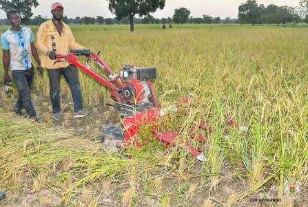Récolte Mécanisée du Riz à Karaba Récolte Mécanisée du Riz à Karaba