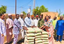 Nayala: Chefs et Diaspora Unissent Forces pour FDS Nayala: Chefs et Diaspora Unissent Forces pour FDS