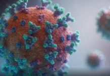 Visage Infecté Virtuel Stimule Système Immunitaire Visage Infecté Virtuel Stimule Système Immunitaire