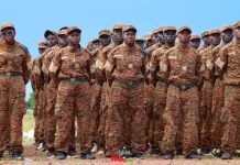 Distinction pour Célébrer la Bravoure des VDP Distinction pour Célébrer la Bravoure des VDP