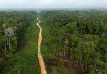 Baisse Record des Émissions de Gaz au Brésil Baisse Record des Émissions de Gaz au Brésil