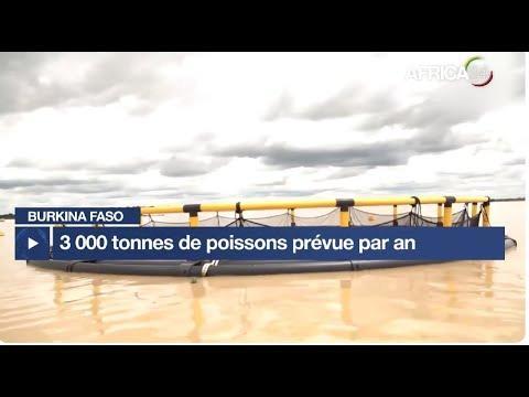 Sécurité Alimentaire: Projet Samendeni Pour 3 000 Tonnes Sécurité Alimentaire: Projet Samendeni Pour 3 000 Tonnes