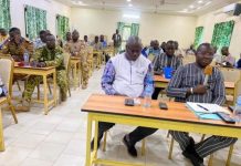 Couverture de 750 Zones Blanches ร Kaya en รlectronique Couverture de 750 Zones Blanches ร Kaya en รlectronique