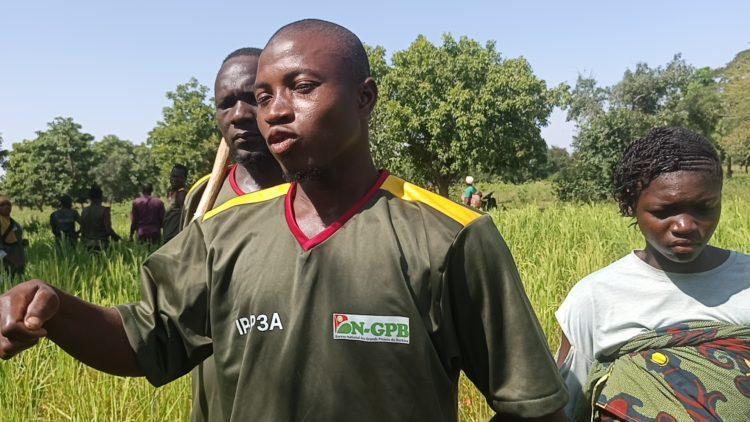 De L'École Aux Champs: Parcours Inspirant D'un VDP De L'École Aux Champs: Parcours Inspirant D'un VDP