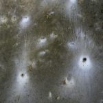 Découverte d’une toile géante d’araignées en Grèce Découverte d'une toile géante d'araignées en Grèce